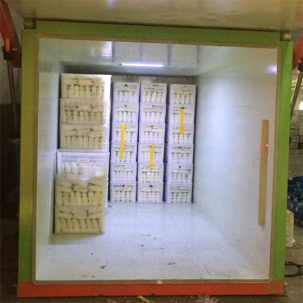 JV-15每次2.5噸果蔬真空預冷機