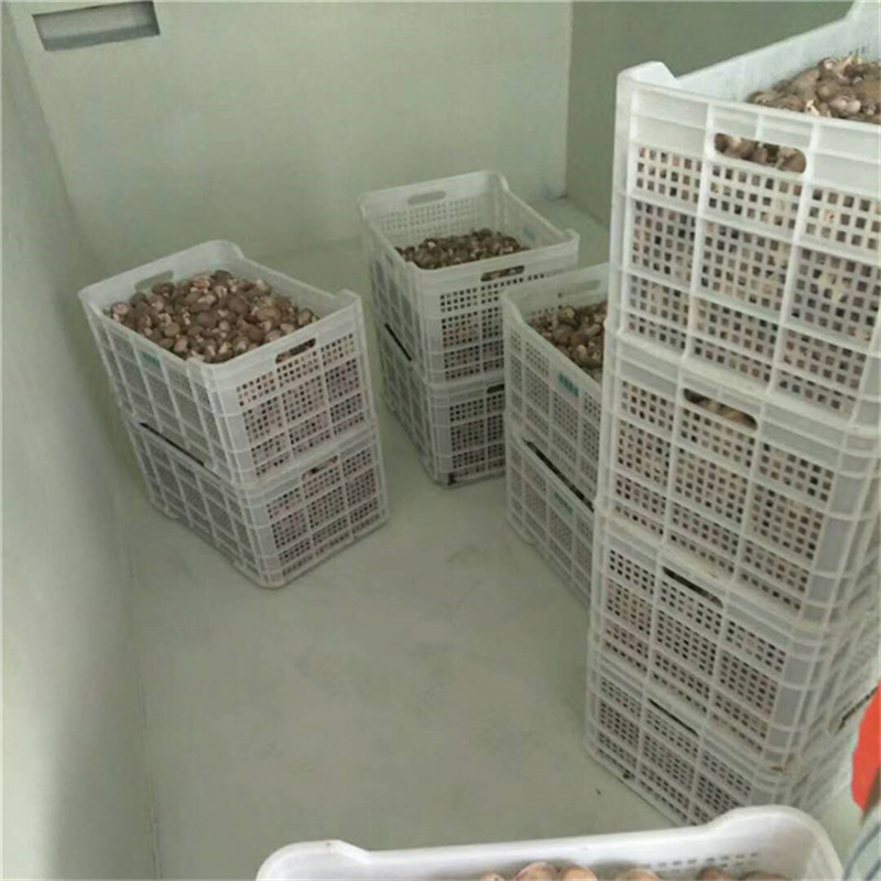 JV-1.6（200KG）蘑菇真空預(yù)冷機ny.png
